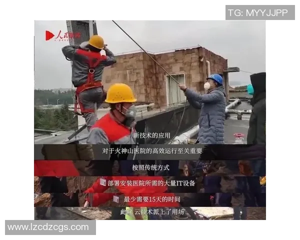 上海排球队的技术揭秘与训练背后的故事与成就分享