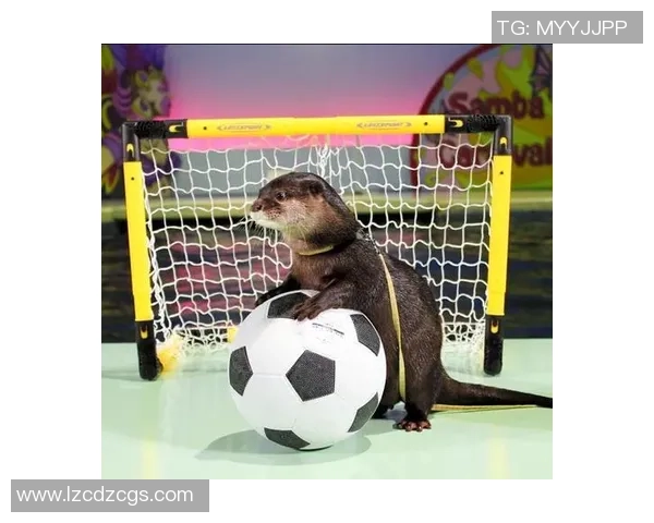 螃蟹运球足球的奇妙旅程探索海洋与运动的完美结合