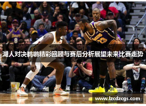 湖人对决鹈鹕精彩回顾与赛后分析展望未来比赛走势